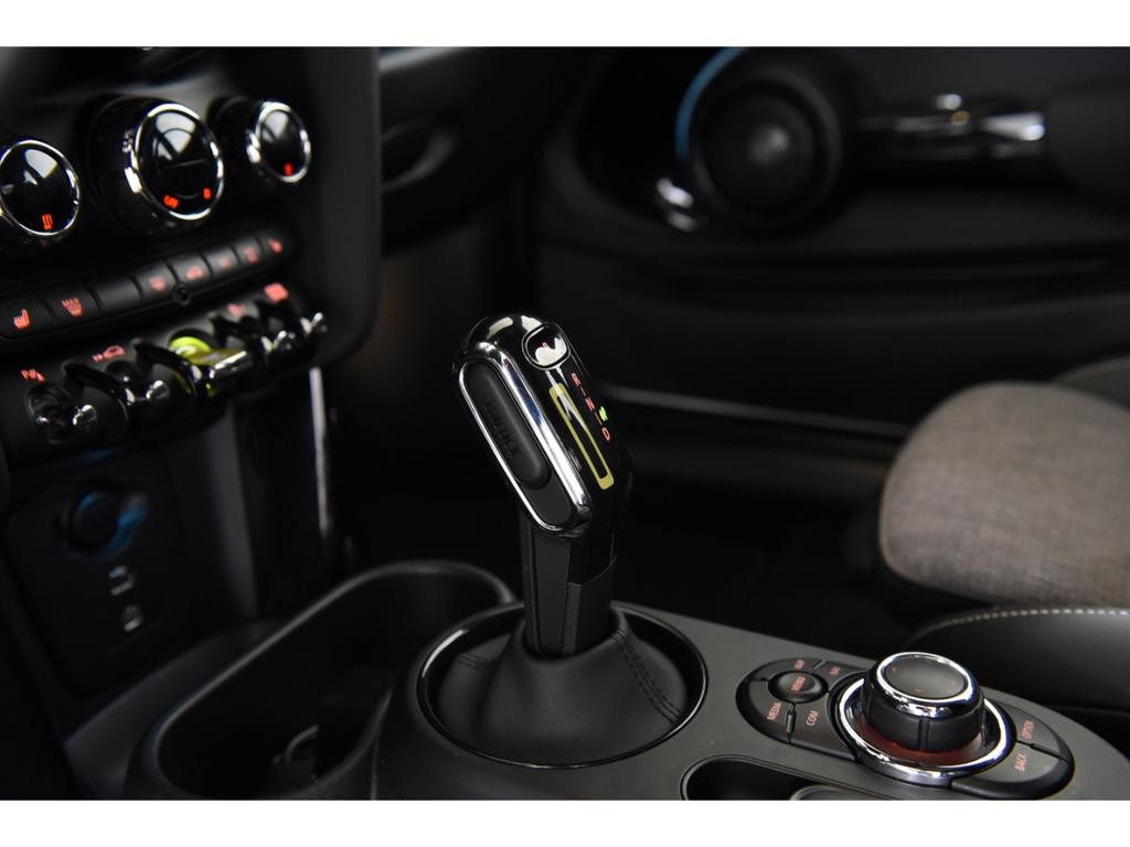 Mini Mini Electric