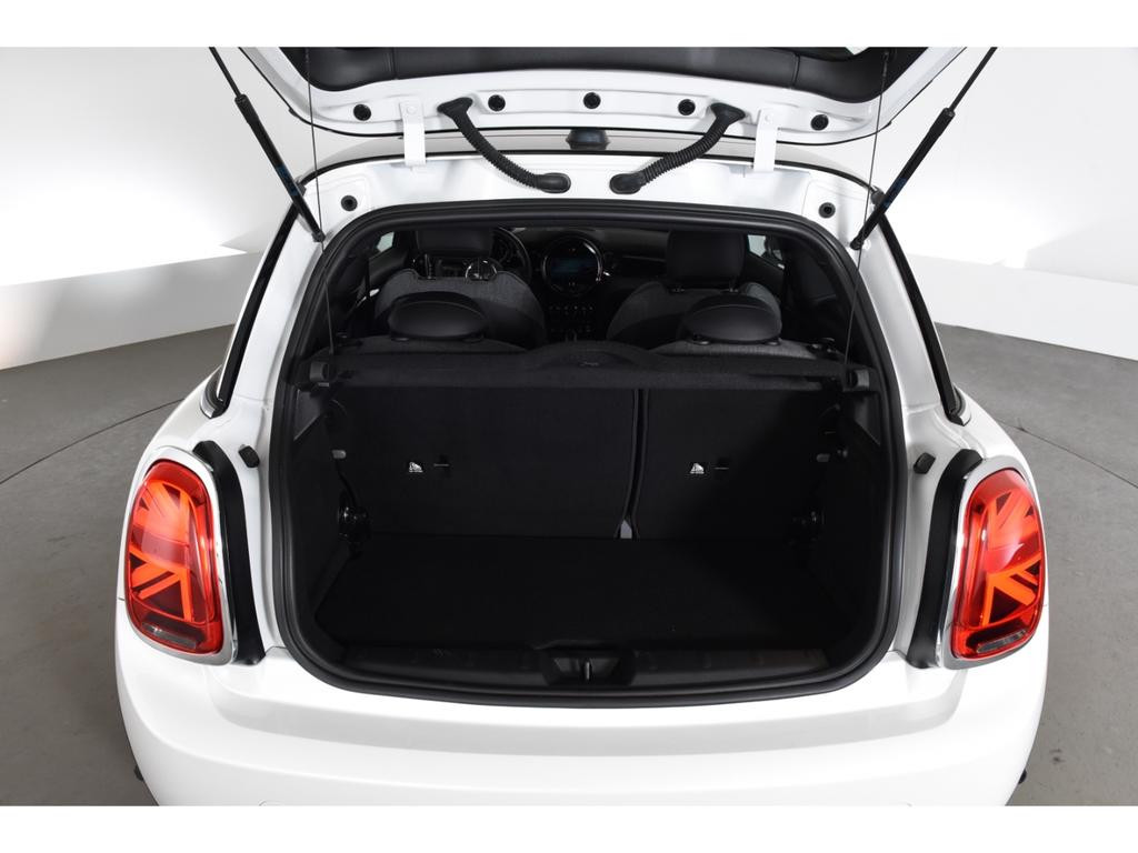 Mini Mini Electric