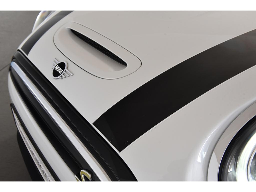 Mini Mini Electric