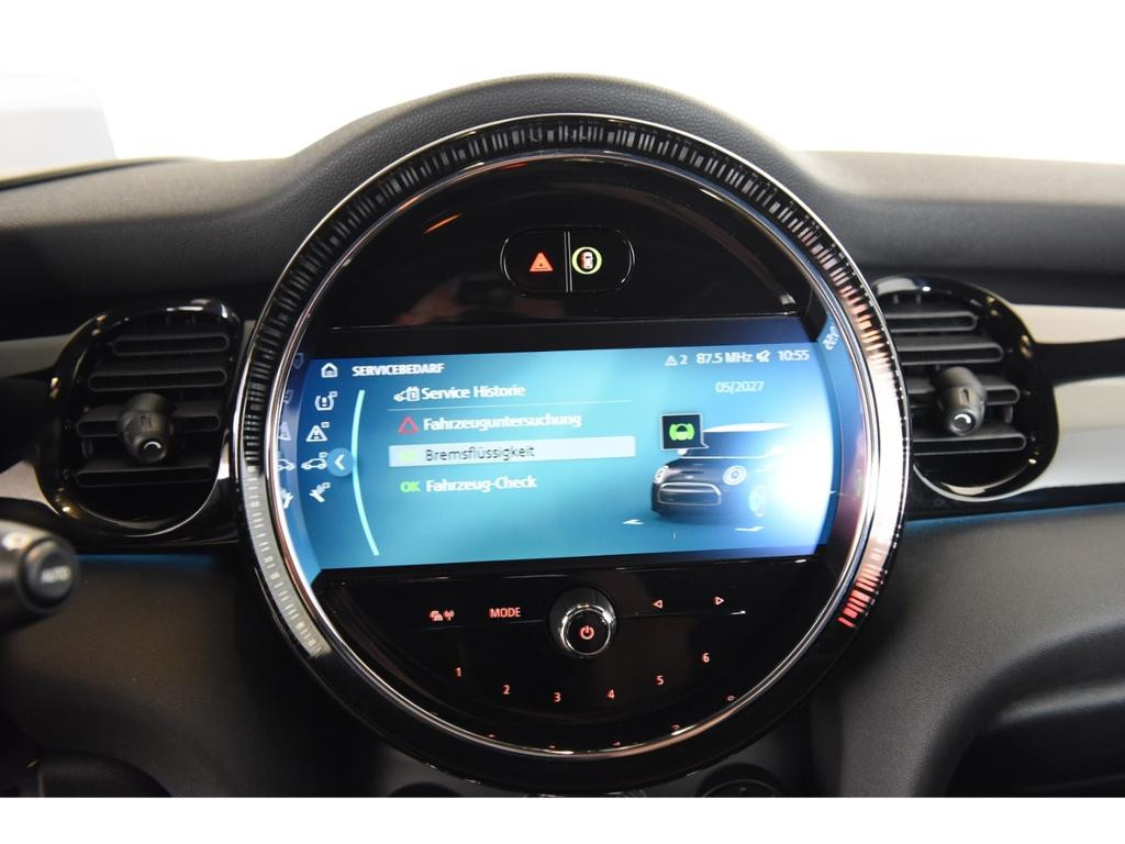 Mini Mini Electric