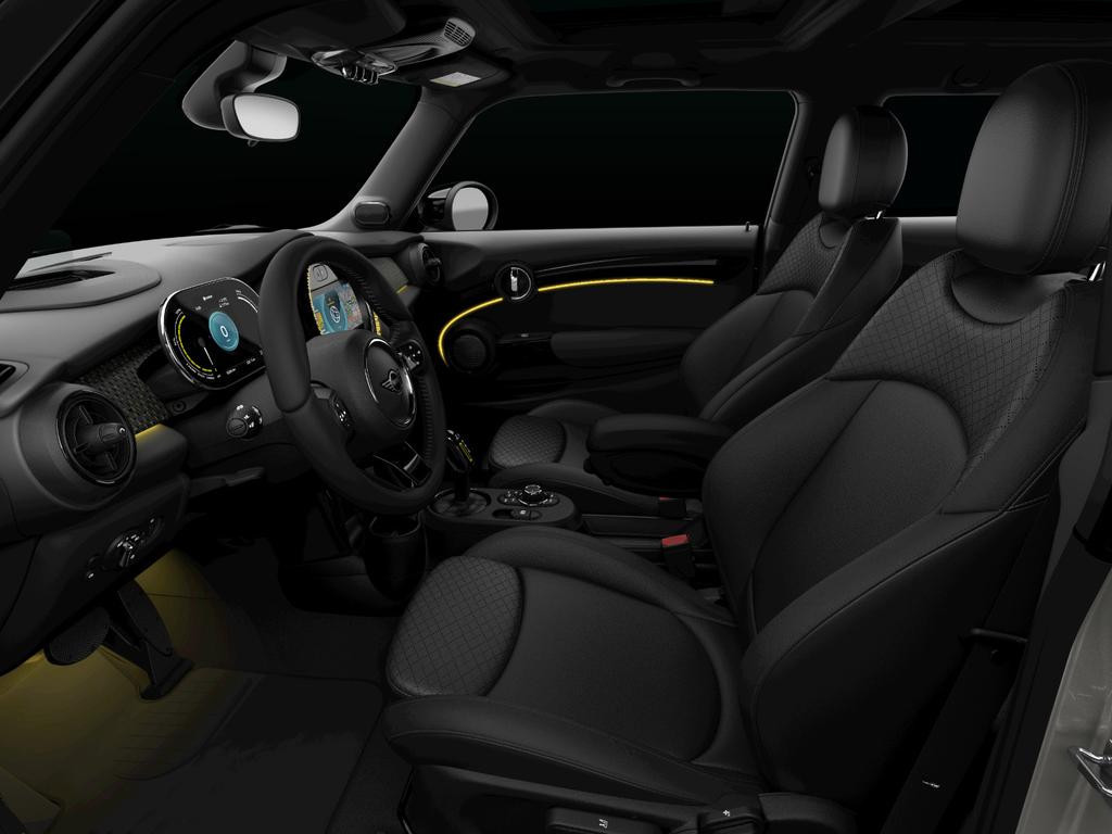 Mini Mini Electric