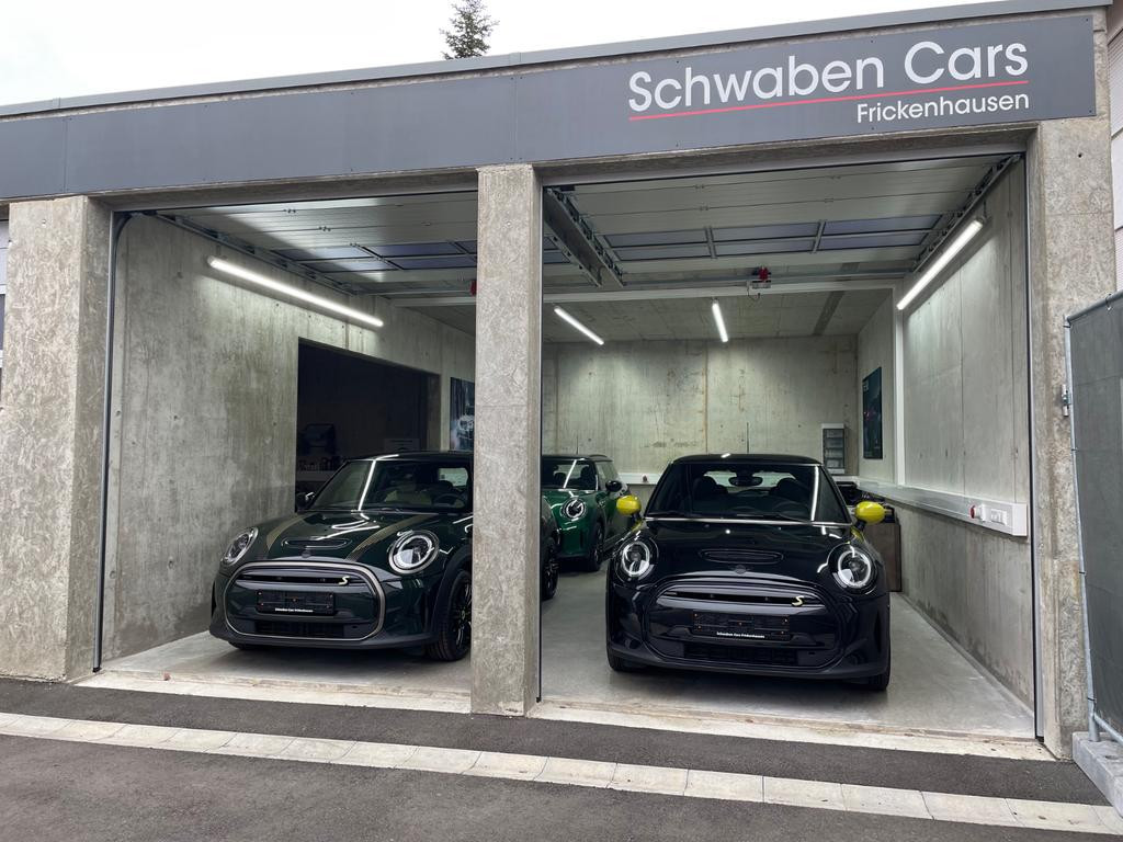 Mini Mini Electric