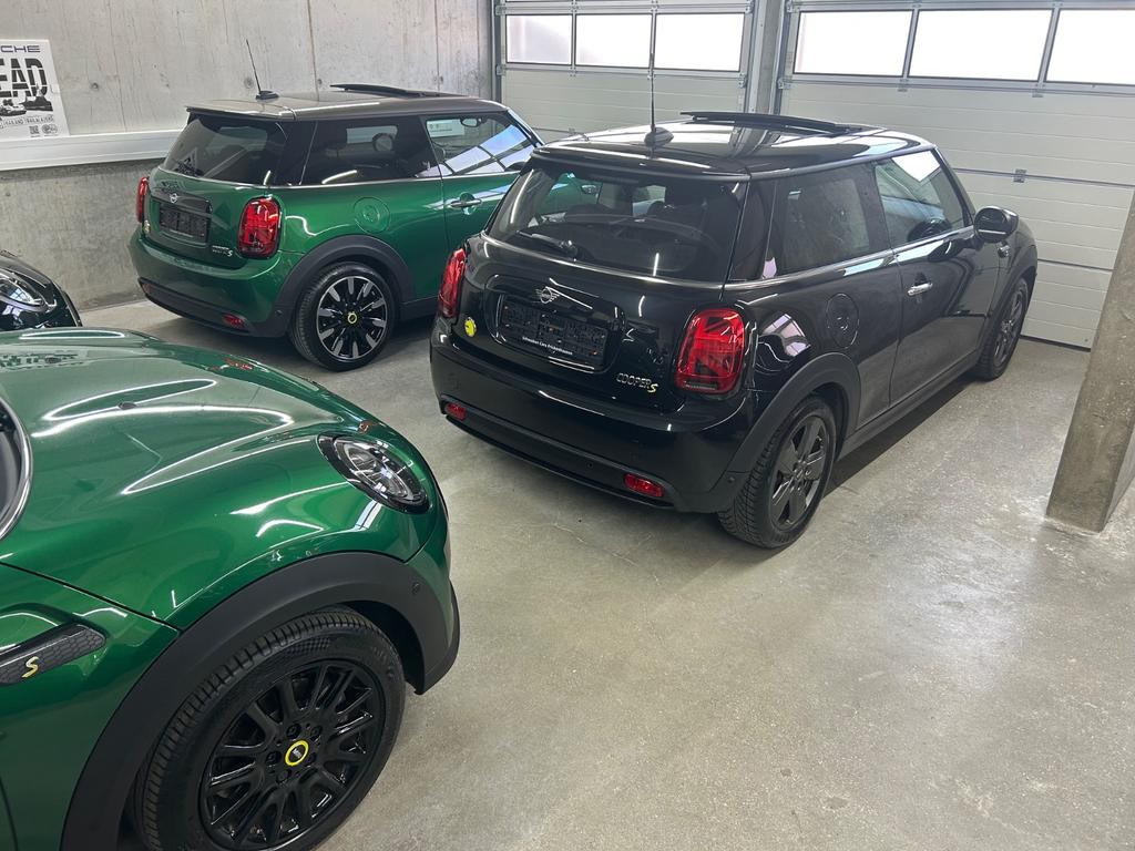 Mini Mini Electric