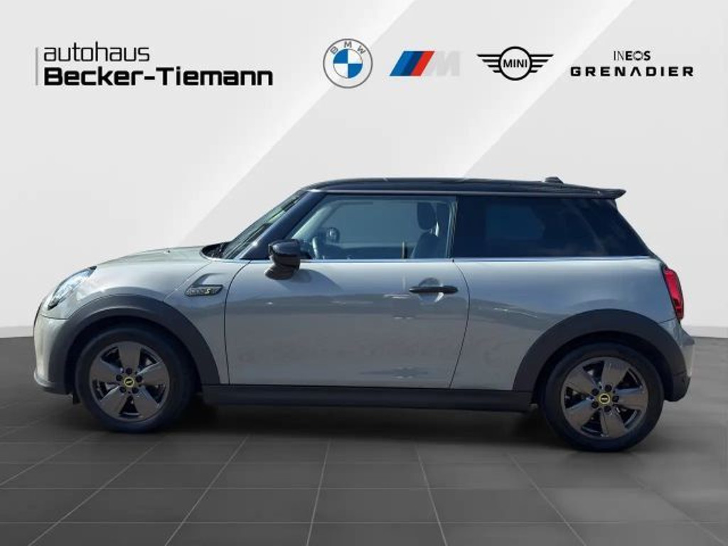 Mini Mini Electric