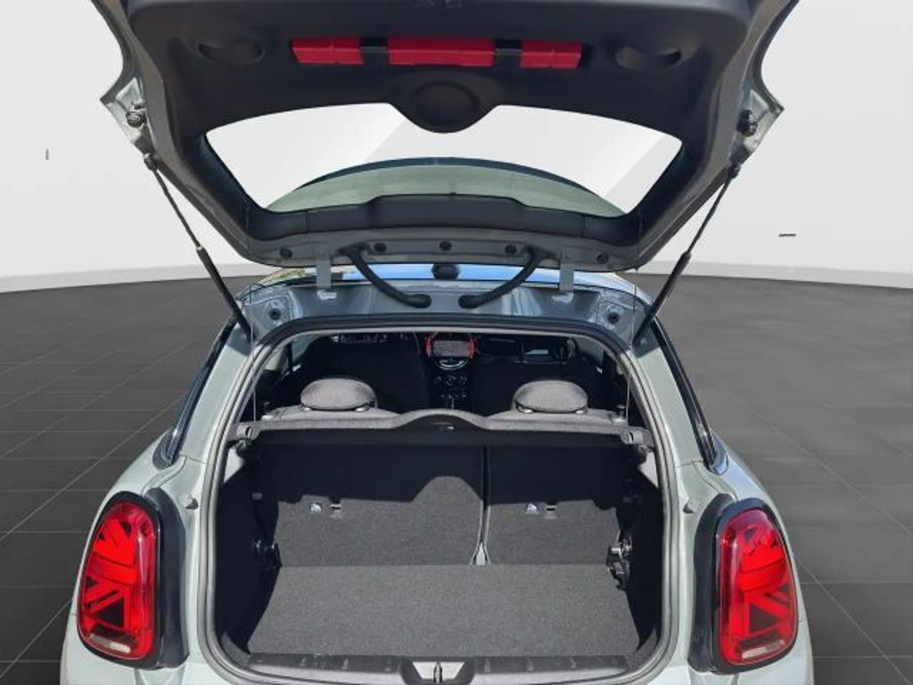Mini Mini Electric