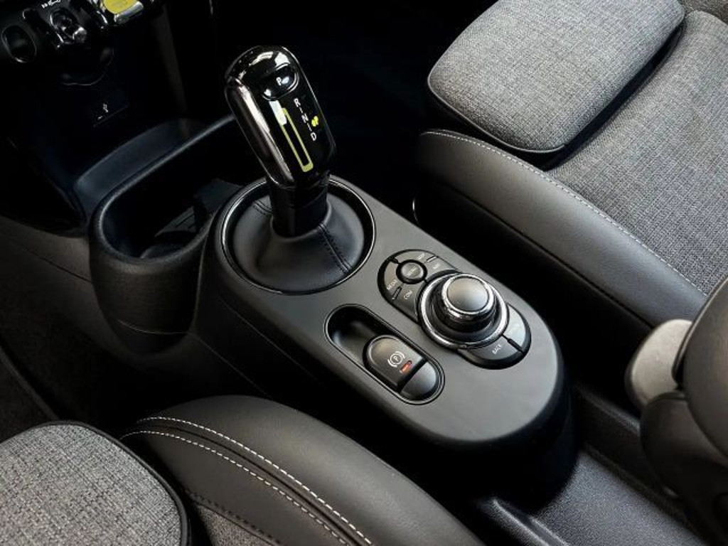 Mini Mini Electric