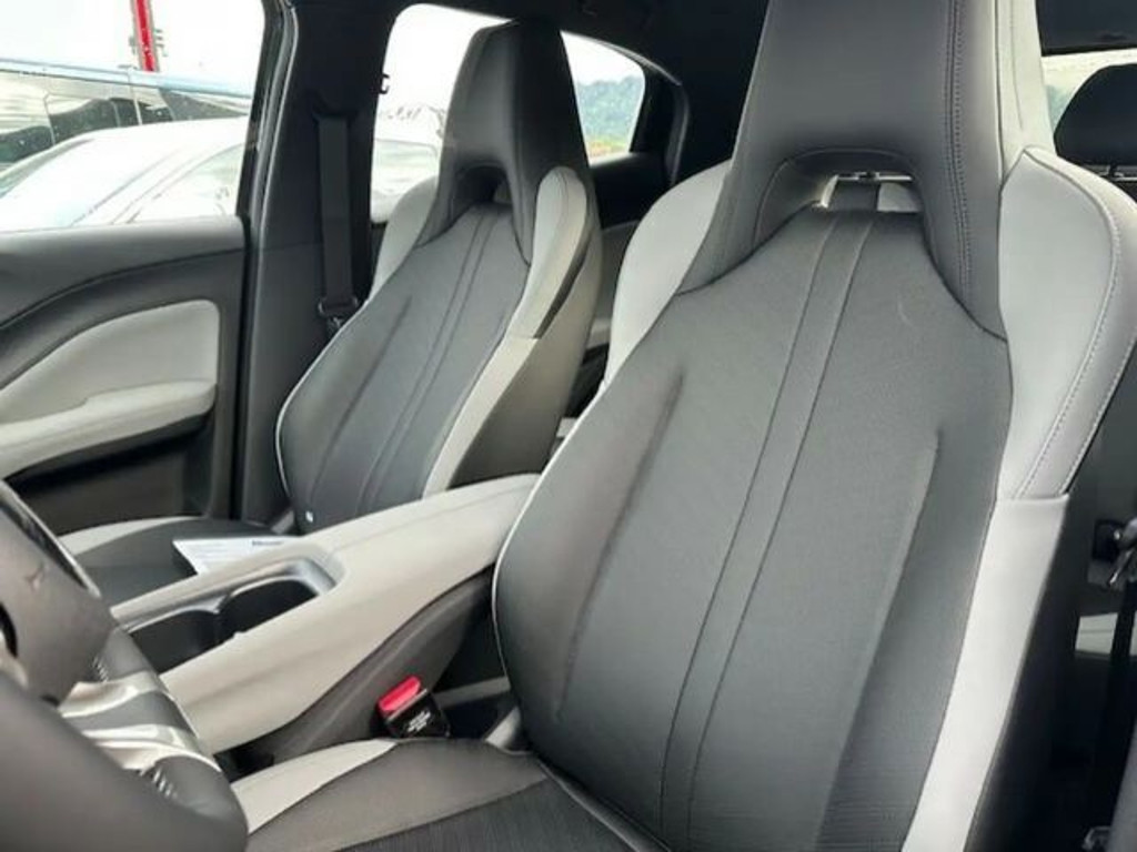 BYD Dolphin Surf