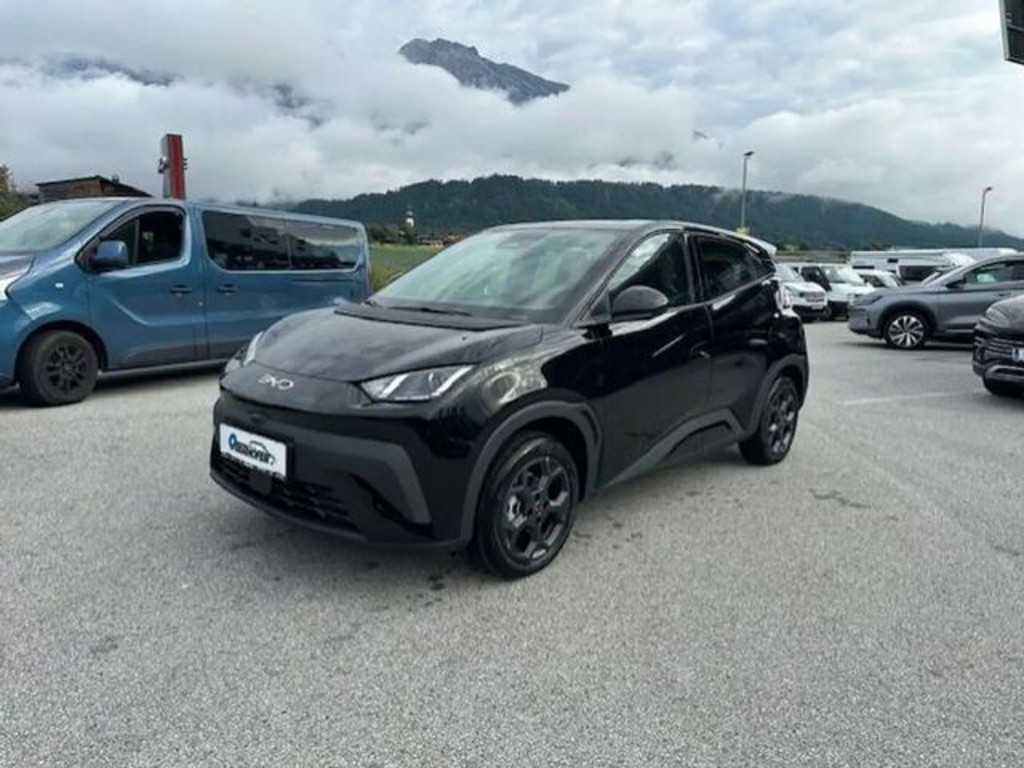 BYD Dolphin Surf