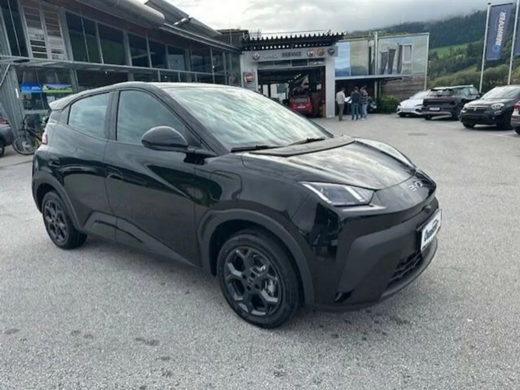 BYD Dolphin Surf