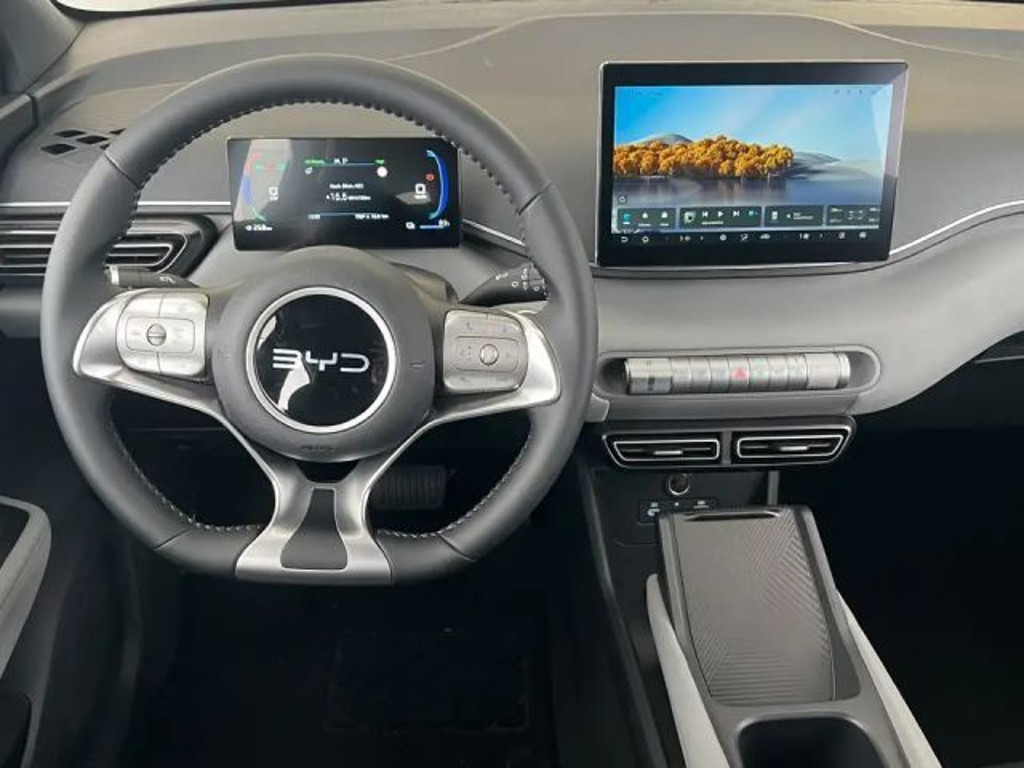 BYD Dolphin Surf