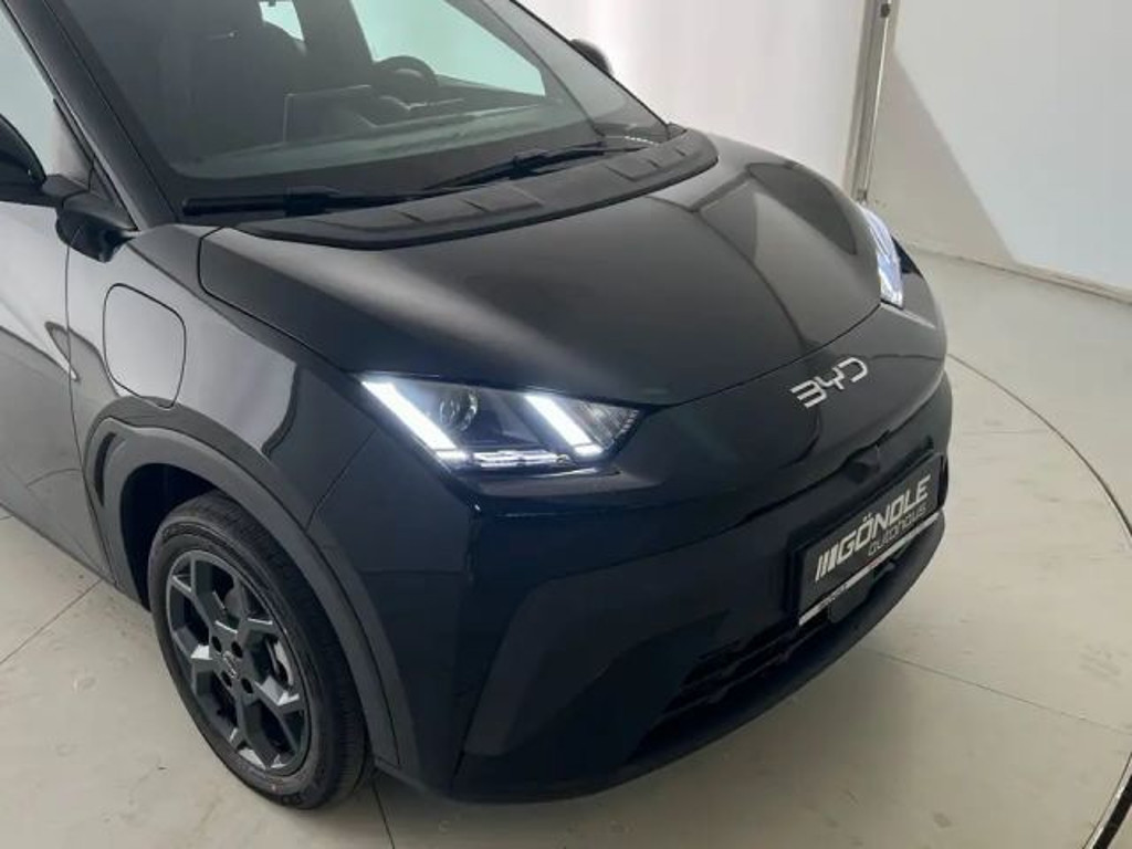 BYD Dolphin Surf