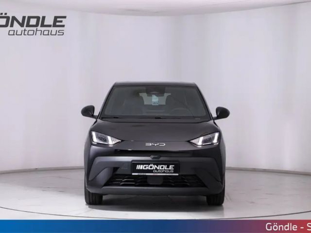 BYD Dolphin Surf