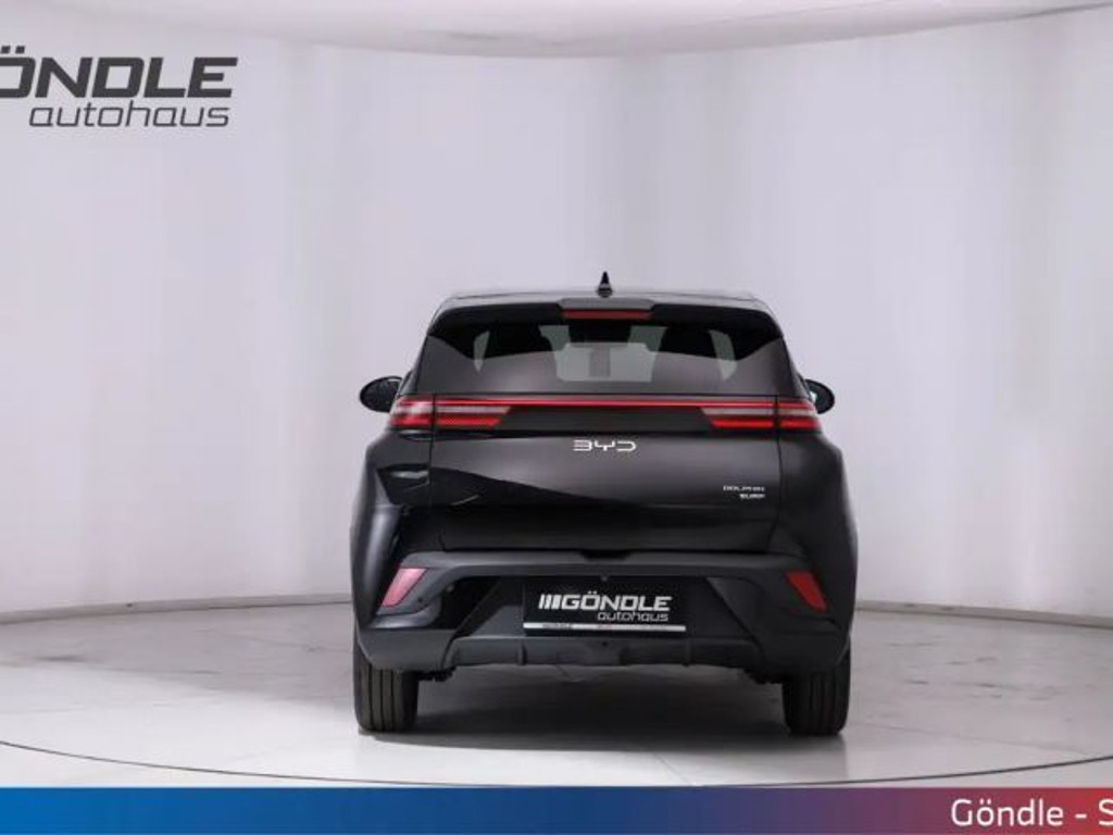 BYD Dolphin Surf