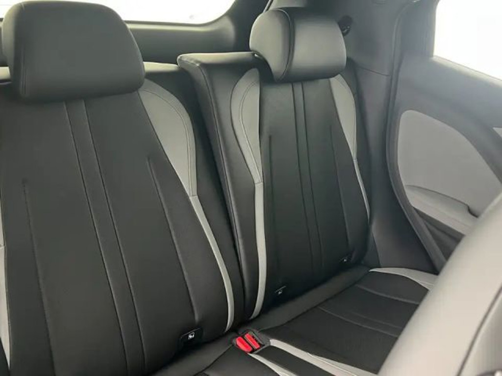 BYD Dolphin Surf