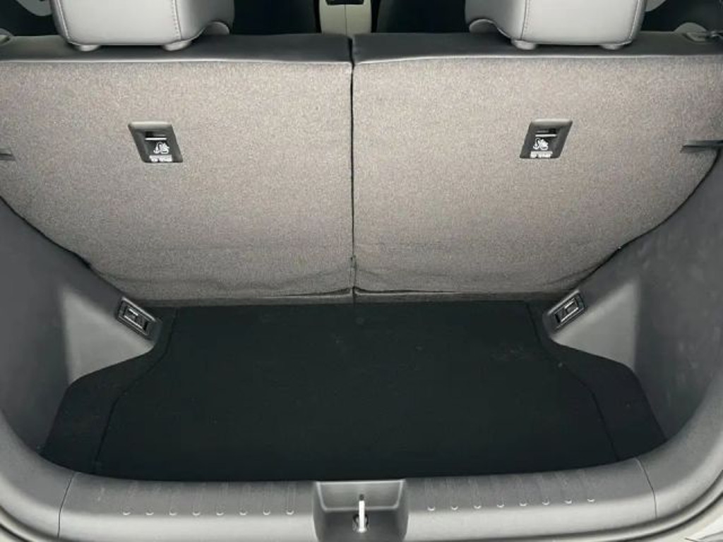 BYD Dolphin Surf