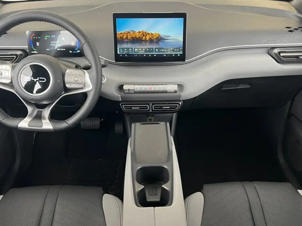 BYD Dolphin Surf
