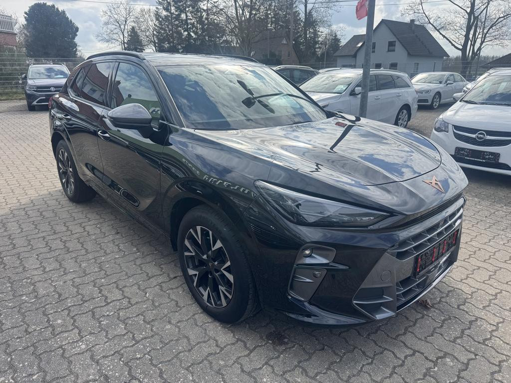 Cupra Terramar