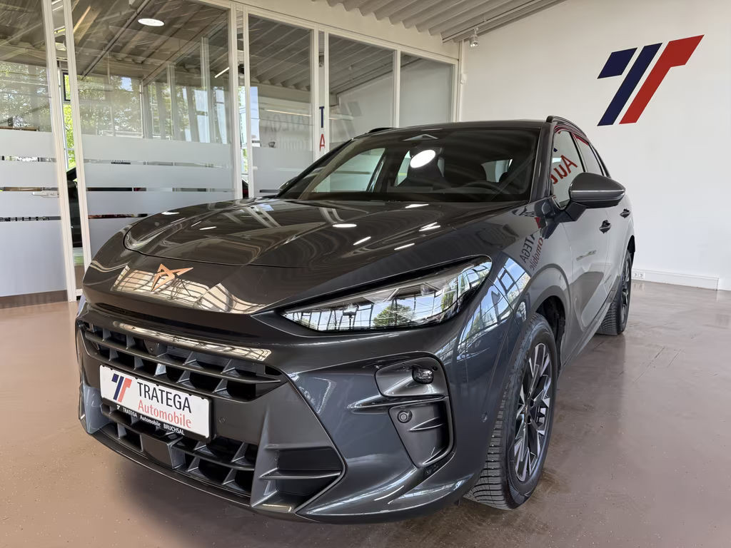 Cupra Terramar Performance