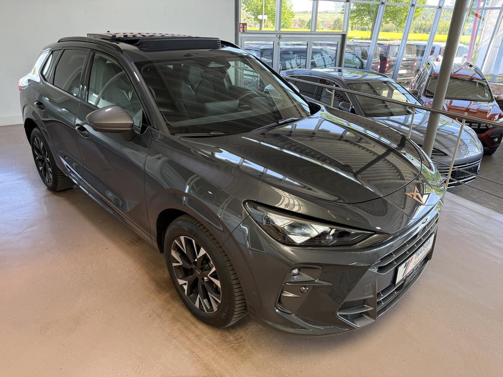 Cupra Terramar