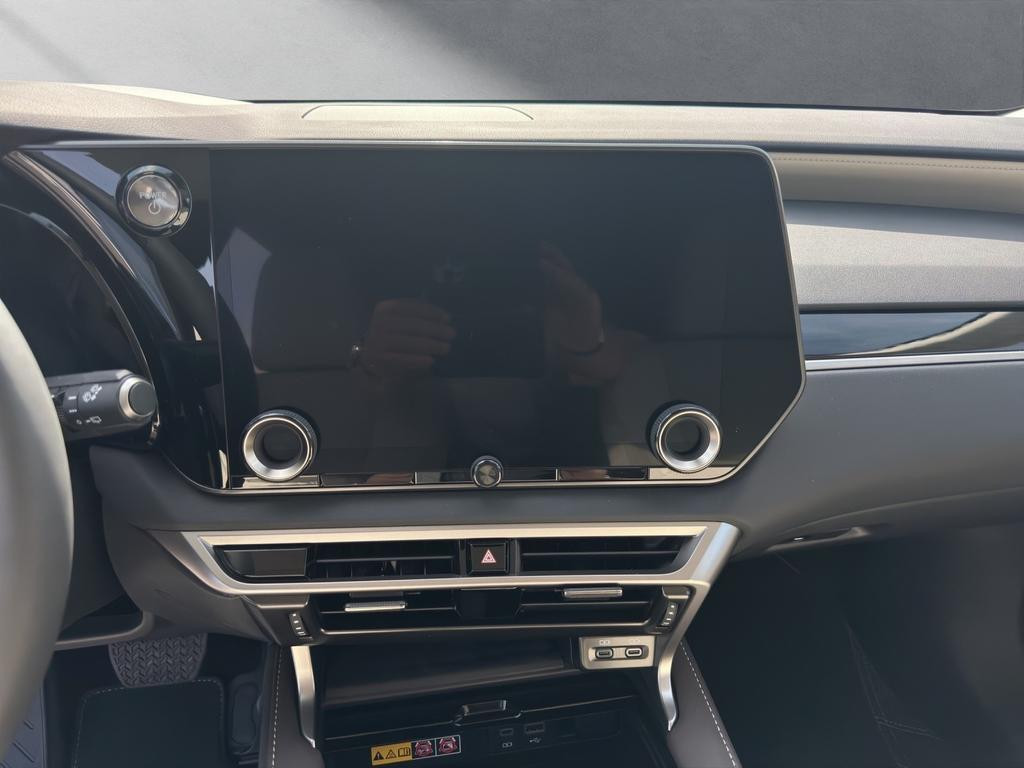 Lexus RX-Serie
