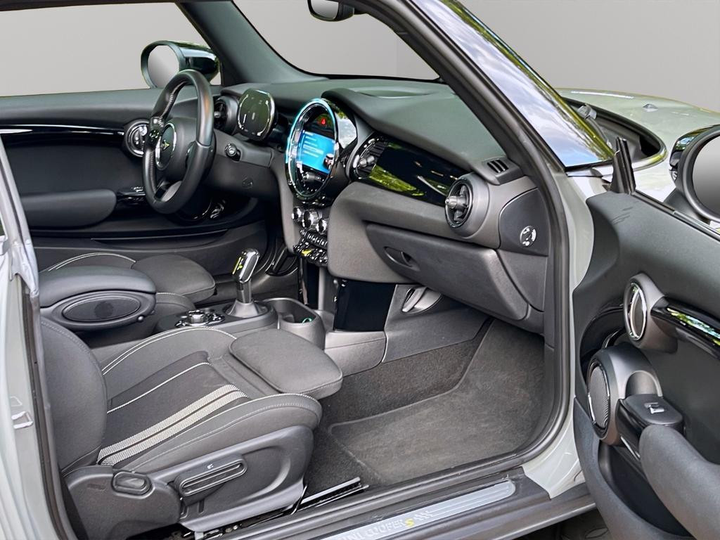 Mini Mini Electric