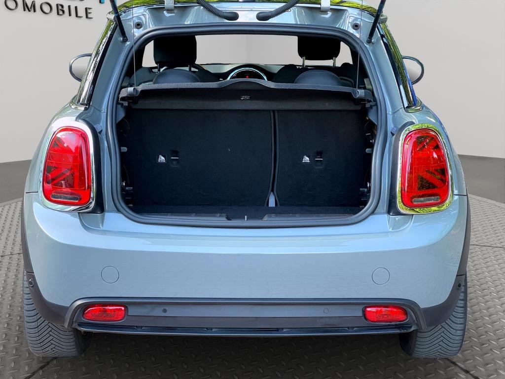 Mini Mini Electric