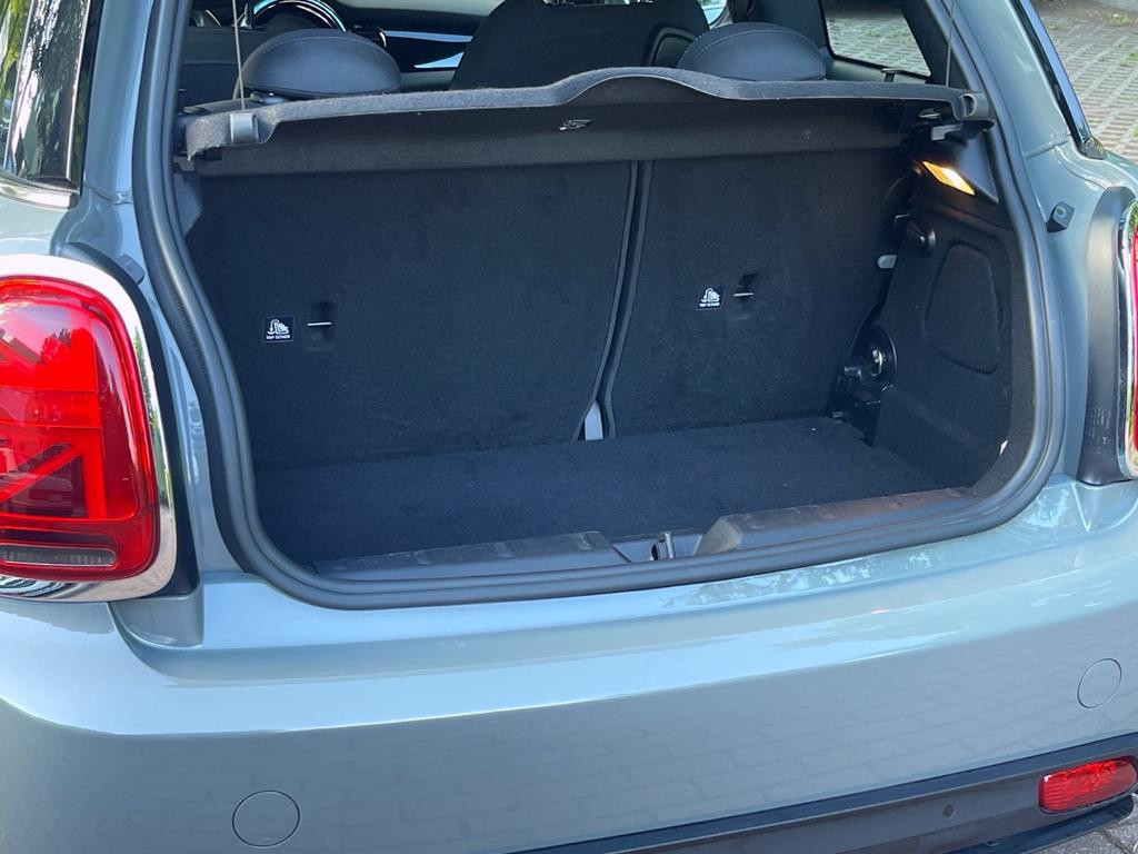 Mini Mini Electric