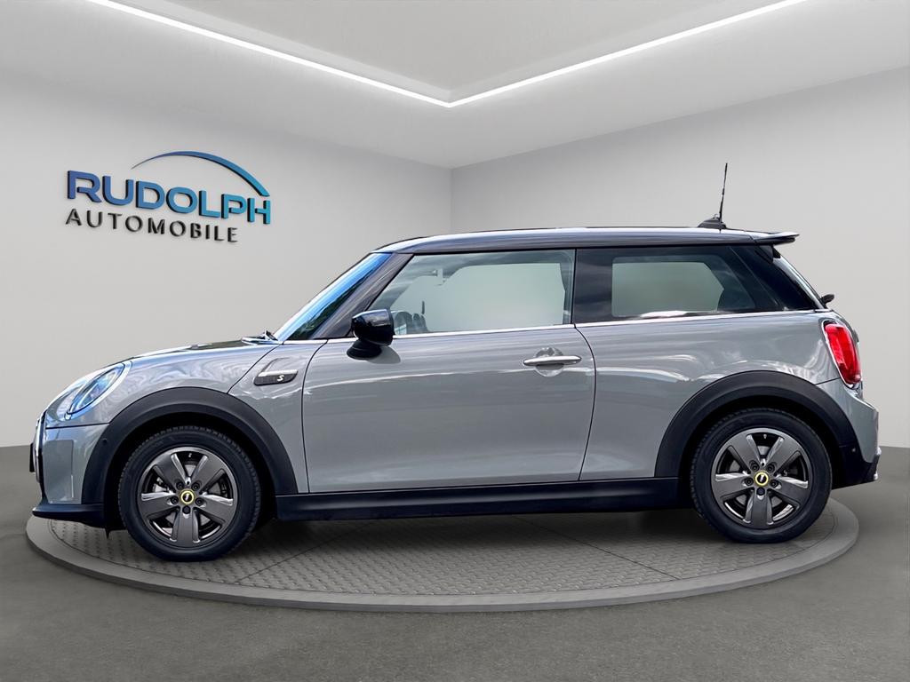 Mini Mini Electric