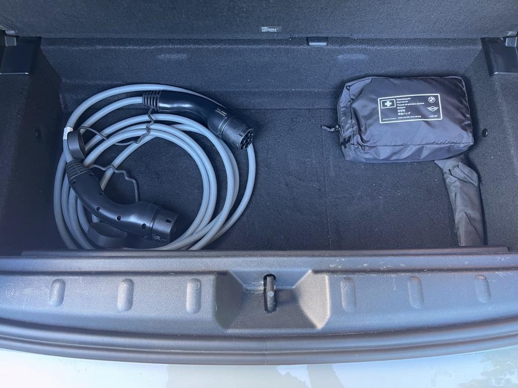 Mini Mini Electric