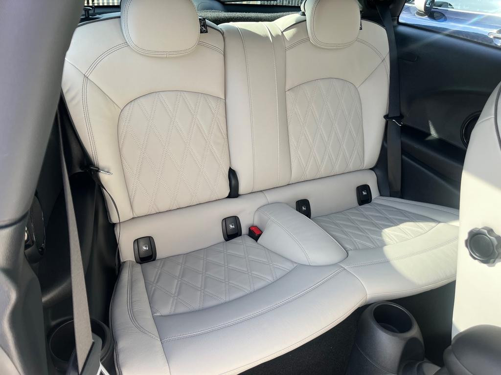 Mini Mini Electric