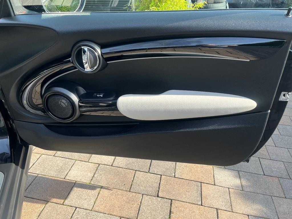 Mini Mini Electric