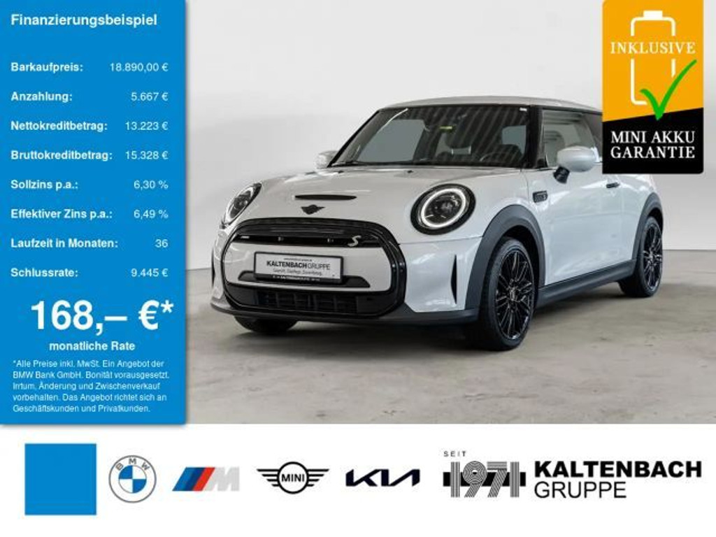 Mini Mini Electric