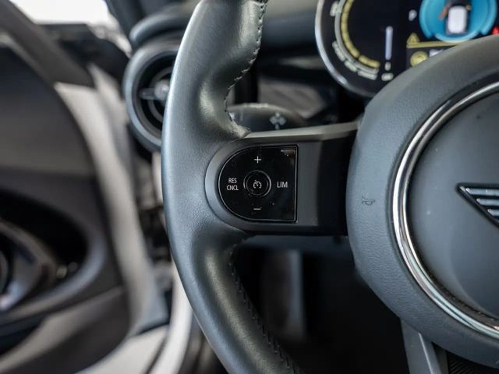 Mini Mini Electric