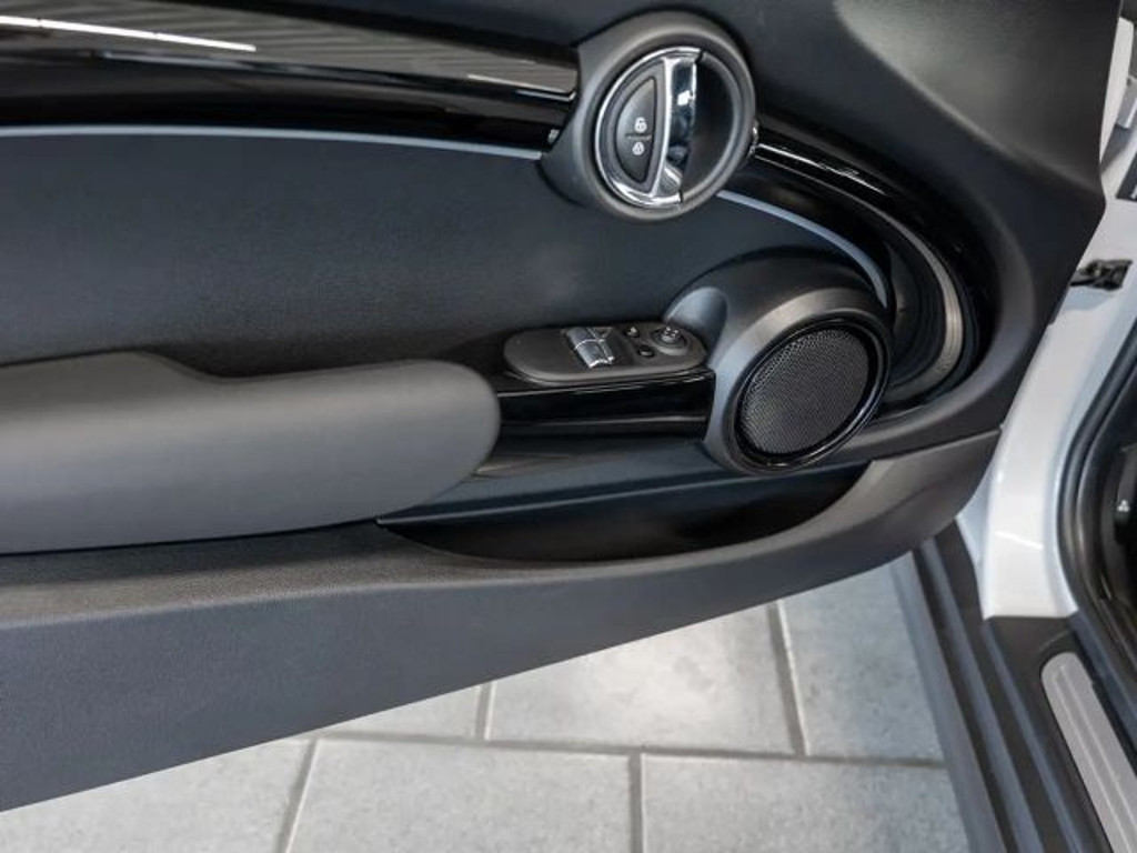 Mini Mini Electric