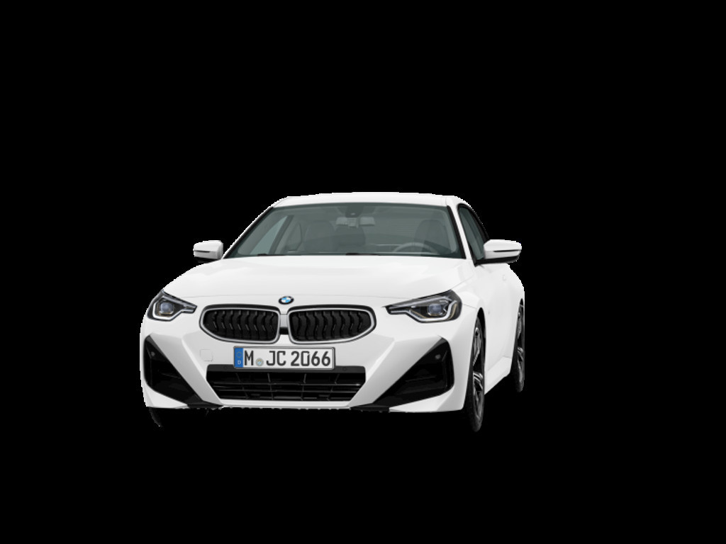 BMW 2 Serie 220 Coupé 220i