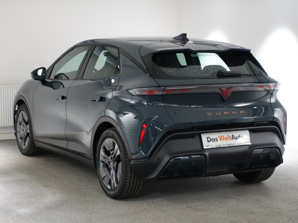 Cupra Raval