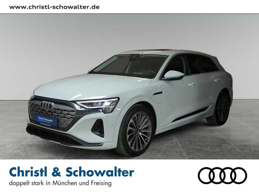 Audi Q8 e-tron 55