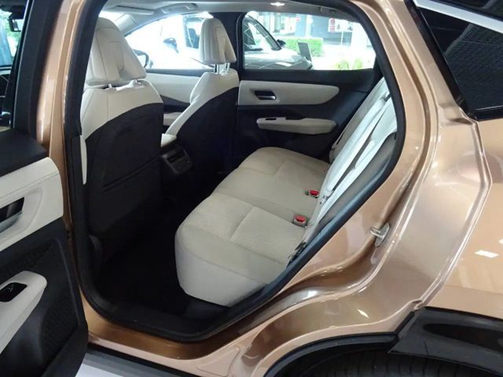 Nissan Ariya