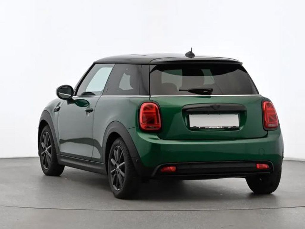 Mini Mini Electric