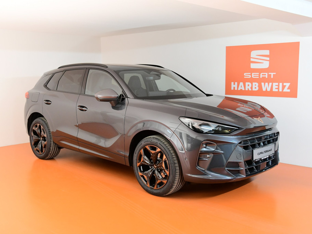 Cupra Terramar