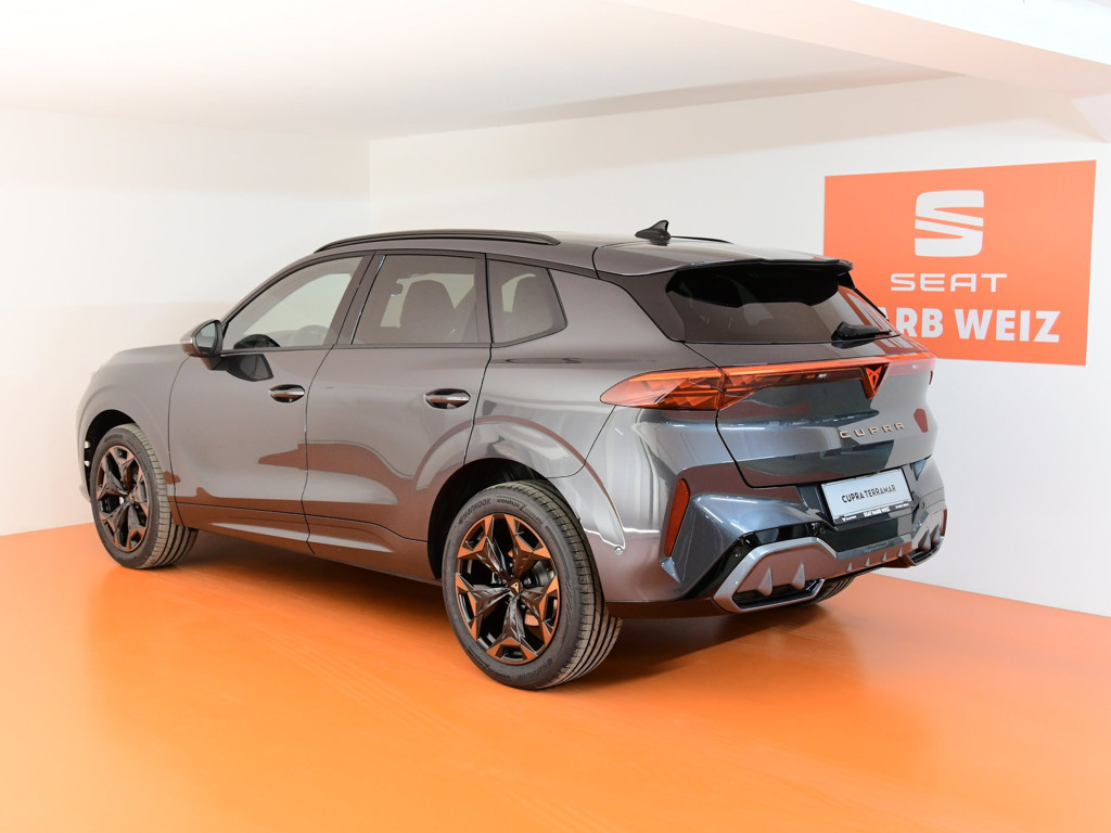 Cupra Terramar