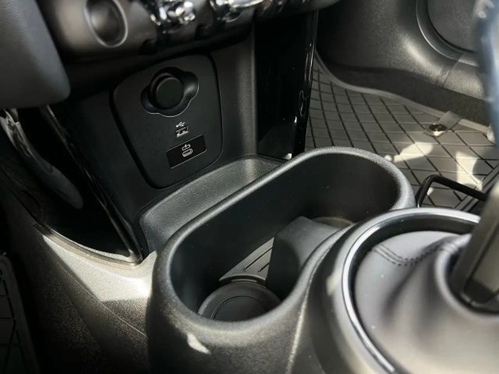 Mini Mini Electric