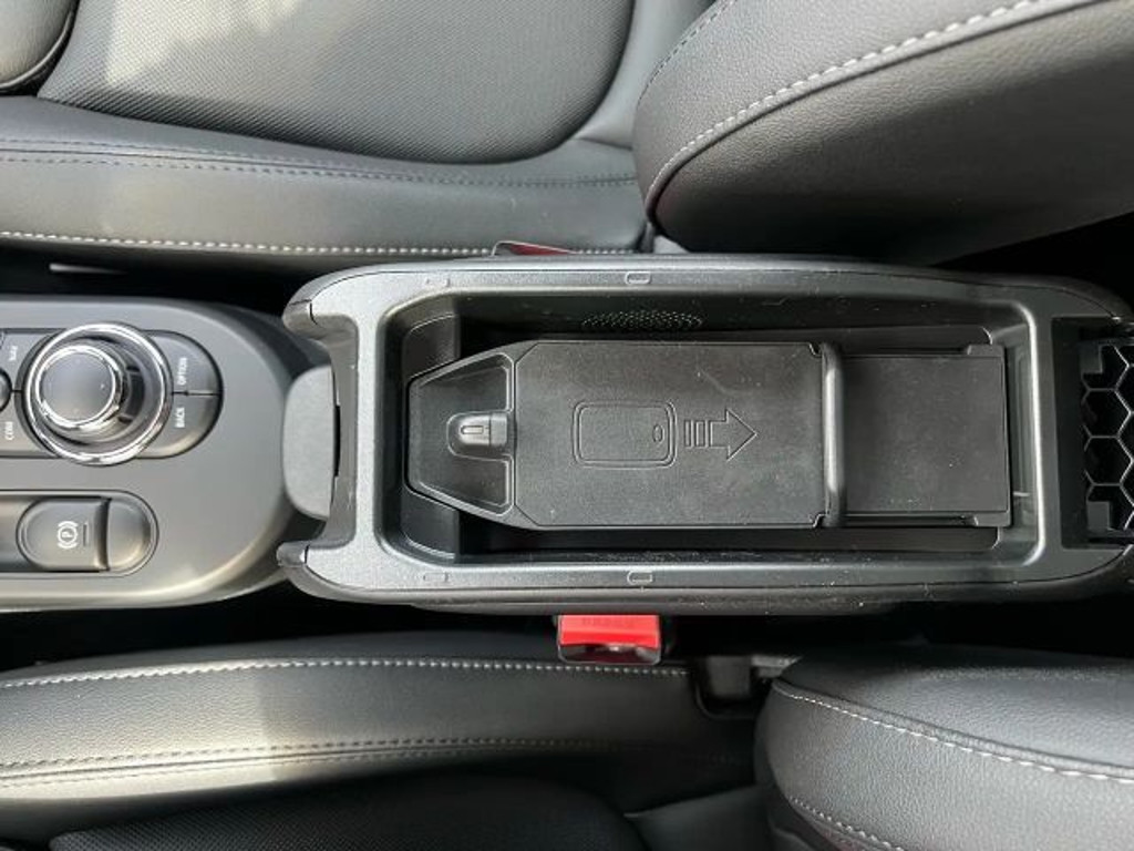 Mini Mini Electric