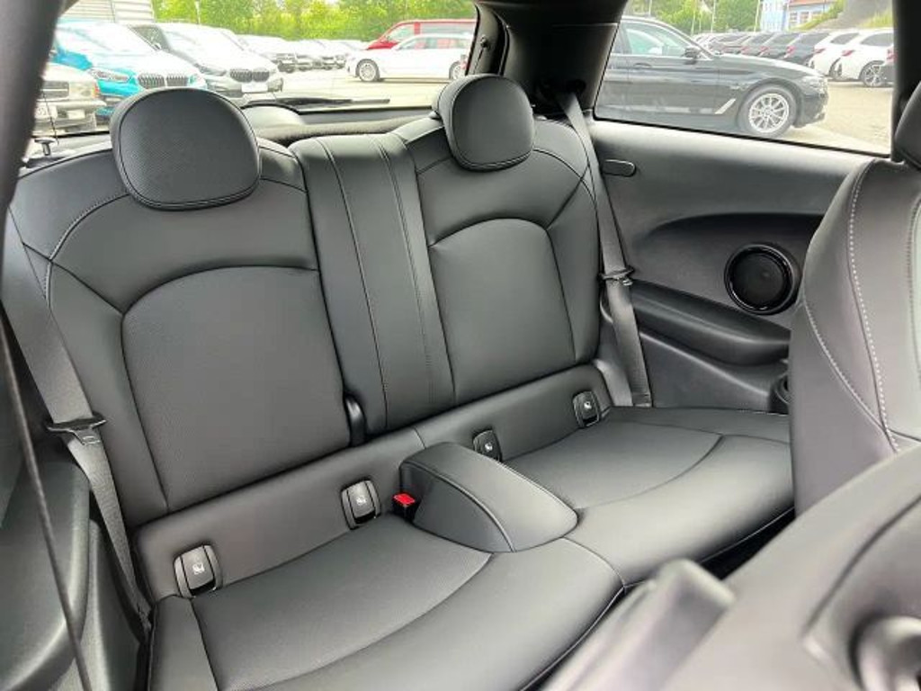 Mini Mini Electric