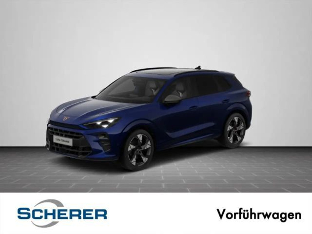 Cupra Terramar 2.0 TSI