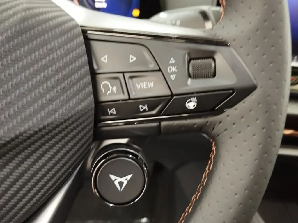 Cupra Raval