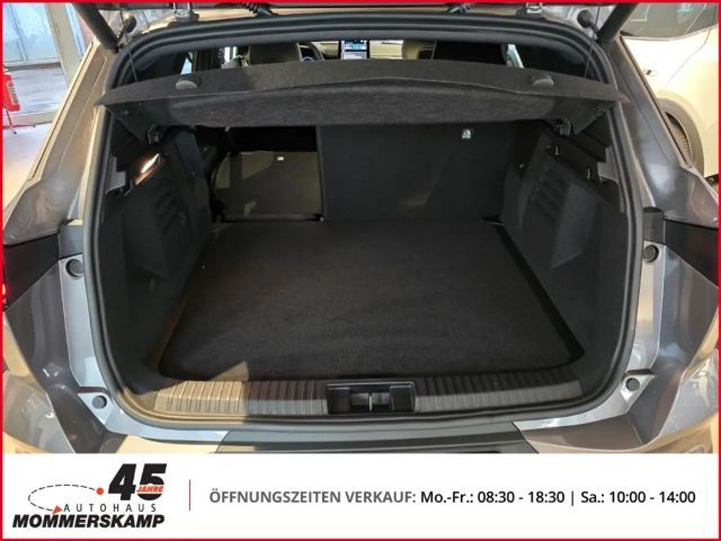 Mitsubishi Grandis