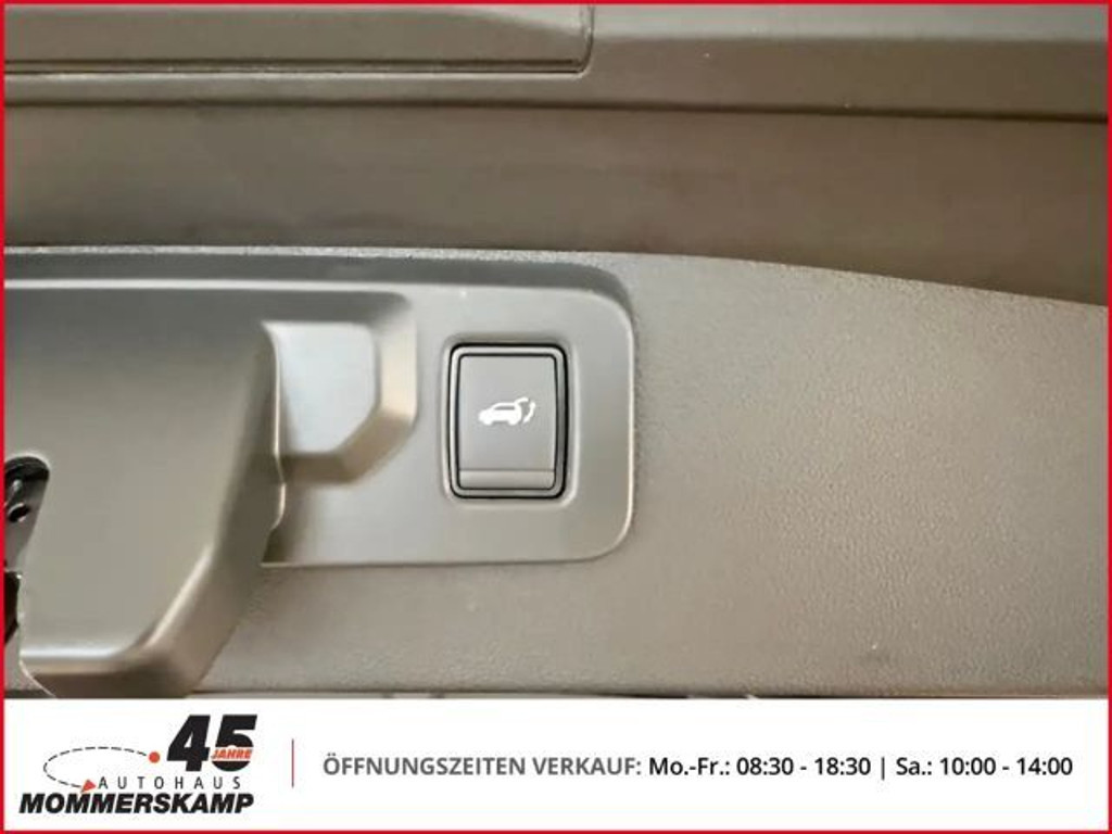 Mitsubishi Grandis