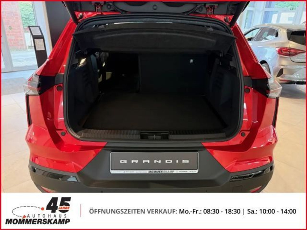 Mitsubishi Grandis