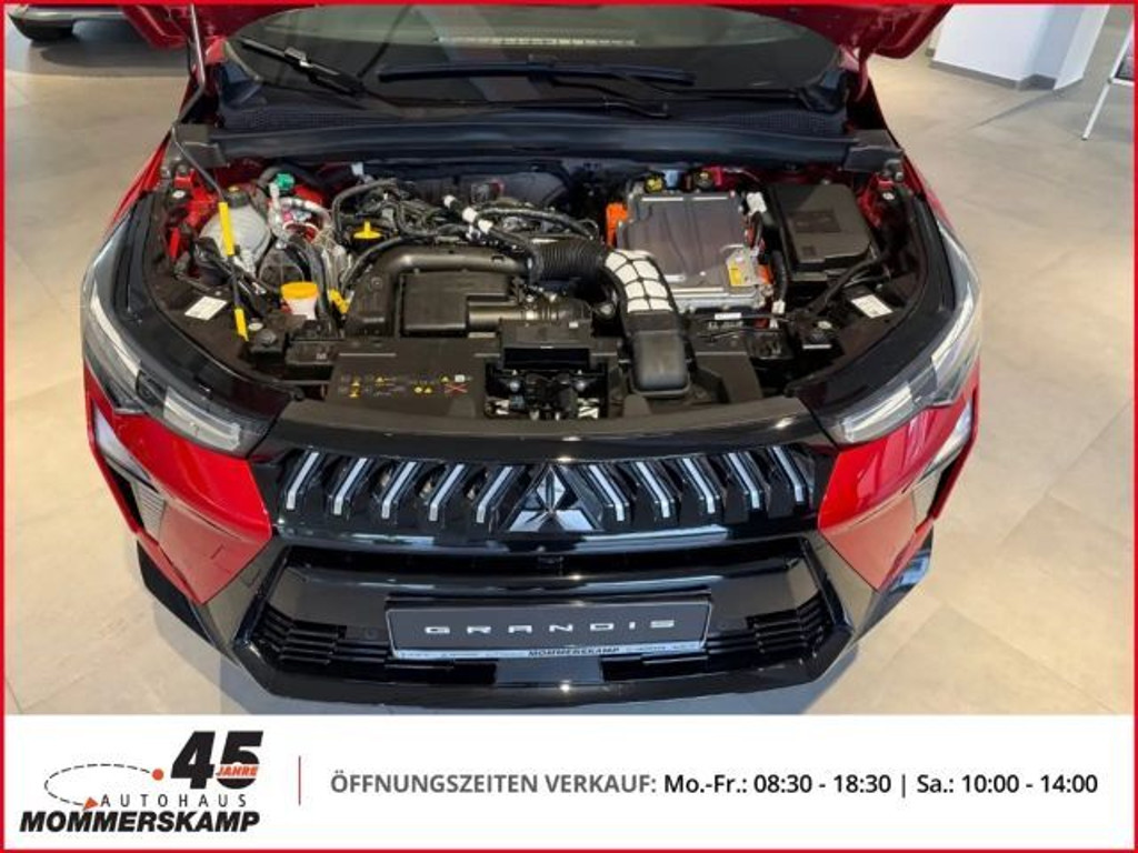 Mitsubishi Grandis